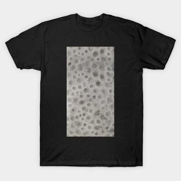 Petoskey Stone Pattern T-Shirt by huronbear